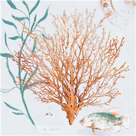 Blue Coral Medley II
