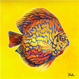 Bright Aquatic Life I