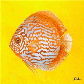 Bright Aquatic Life IV