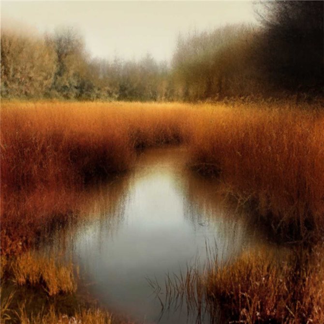 Sunlit Pond II