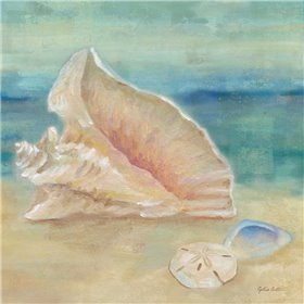 Horizon Shells III 