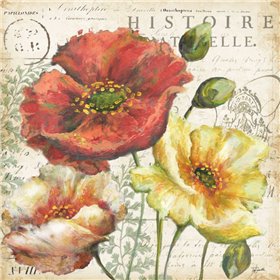 Spice Poppies Histoire Naturelle I - Cuadrostock