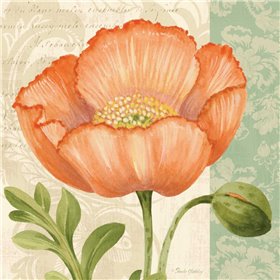 Pastel Poppies II