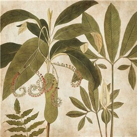 Palm Persuasion I