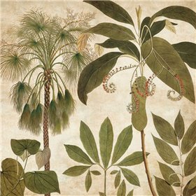 Palm Persuasion II