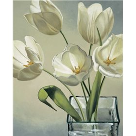 Tulipani in vaso - Cuadrostock