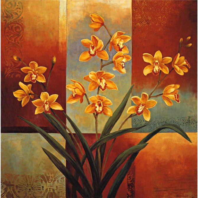 Orange Orchid