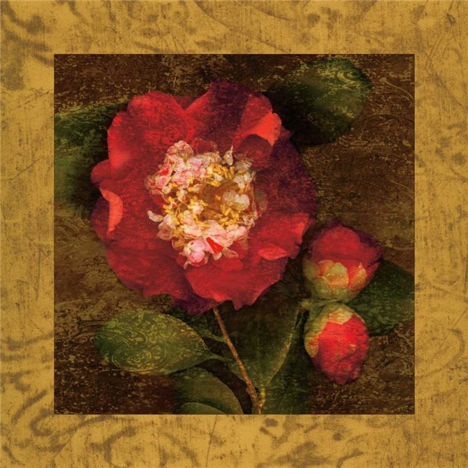 Red Camellias I - Cuadrostock