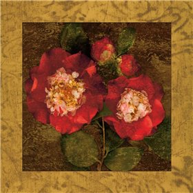Red Camellias II