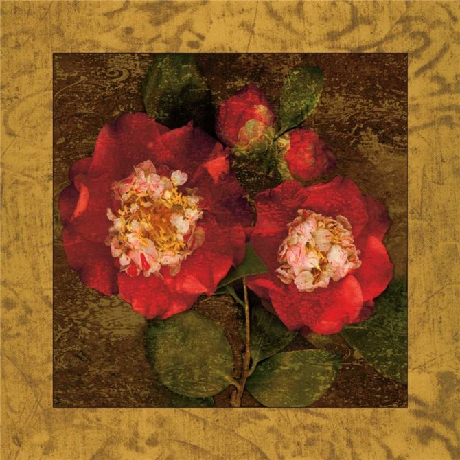Red Camellias II