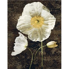 Cuadro para dormitorio - Poppies II - Cuadrostock