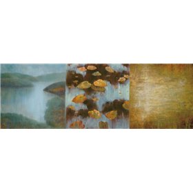Peaceful Places II