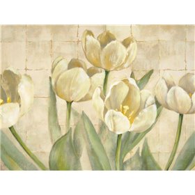 White Tulips on Ivory