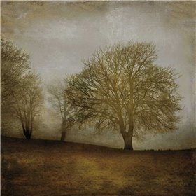 Morning Meditation II