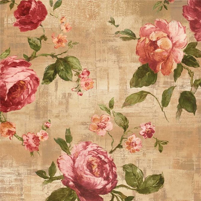 Rose Garden II