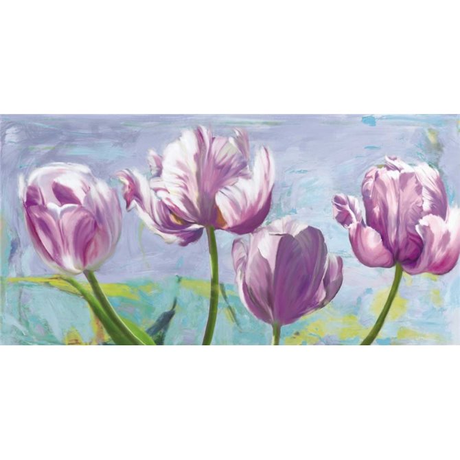 Lilac Tulips - Cuadrostock