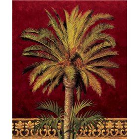 Canary Palm - Cuadrostock