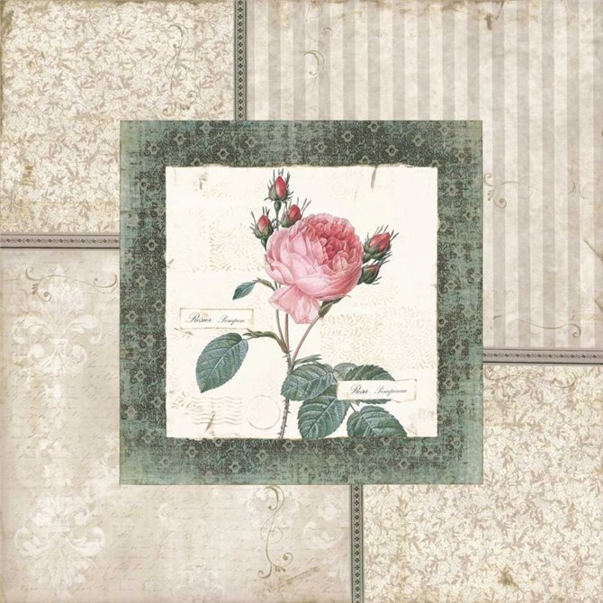 Rosa I