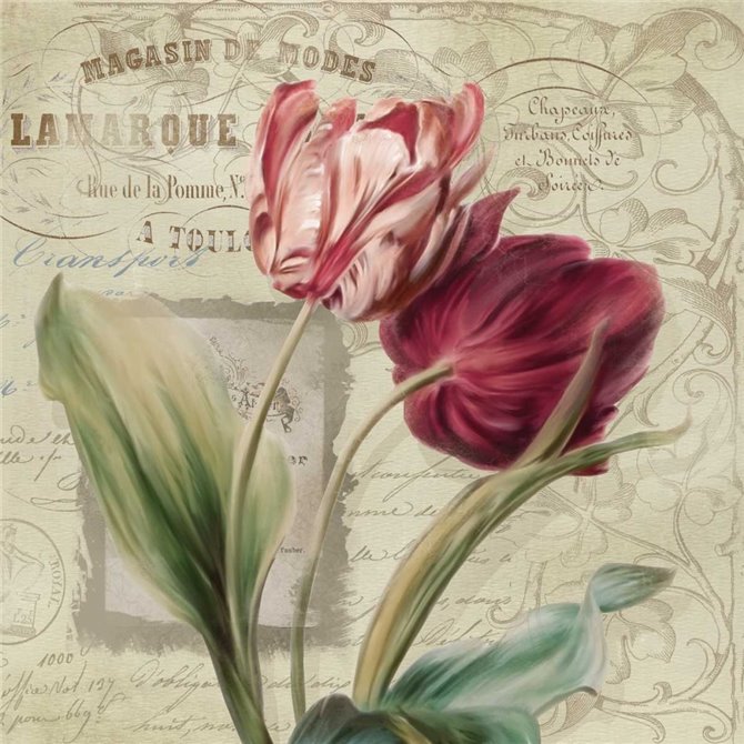French Tulips I