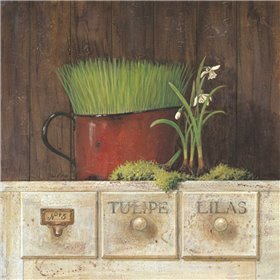 Lilas - Cuadrostock