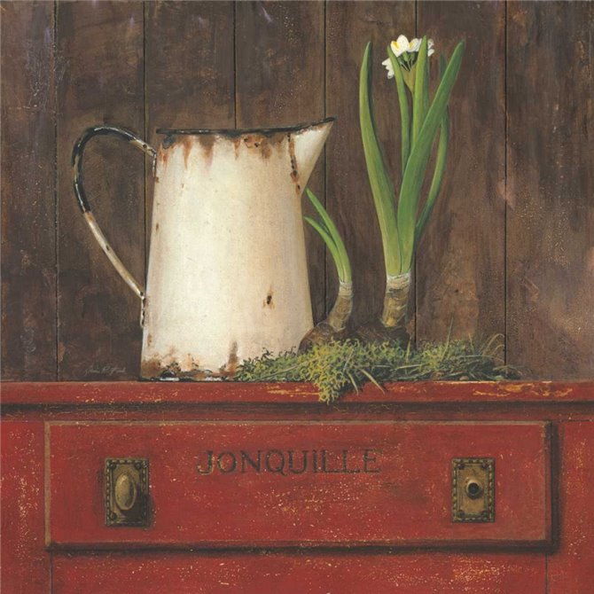 Jonquille
