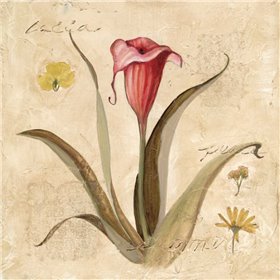 Cuadro para dormitorio - Red Calla Lily - Cuadrostock