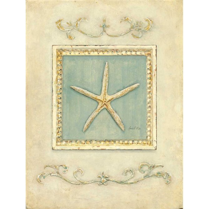Classic Starfish  