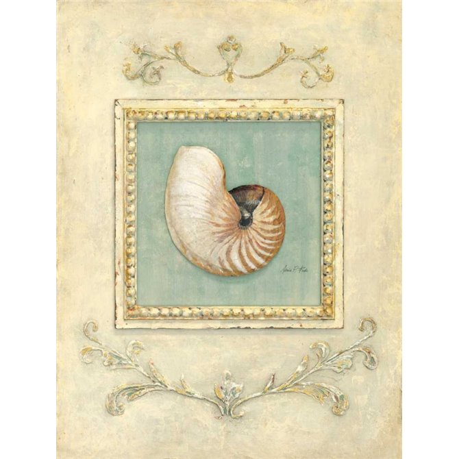 Classic Seashell Detail  - Cuadrostock