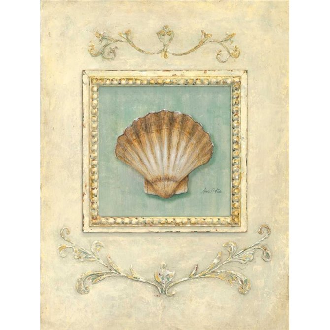 Classic Scallop
