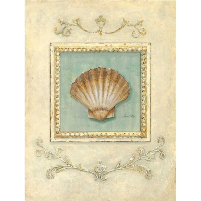 Classic Scallop - Cuadrostock