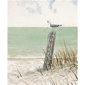 Seaside Perch