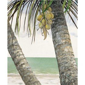 Seaside Coconuts