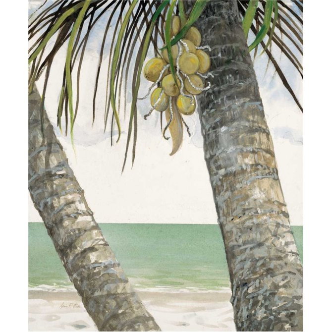 Seaside Coconuts