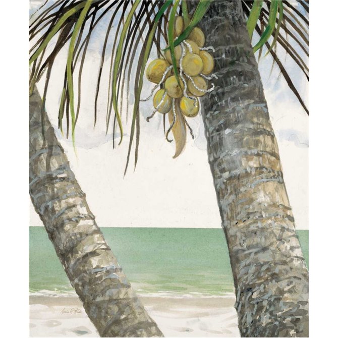 Seaside Coconuts - Cuadrostock