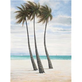 Breezy Palm 2