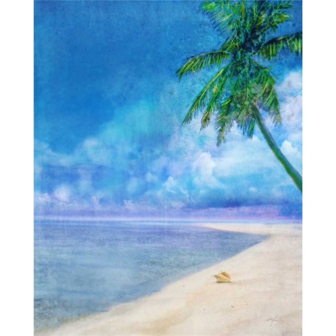 Palm Beach and Shell - Cuadrostock