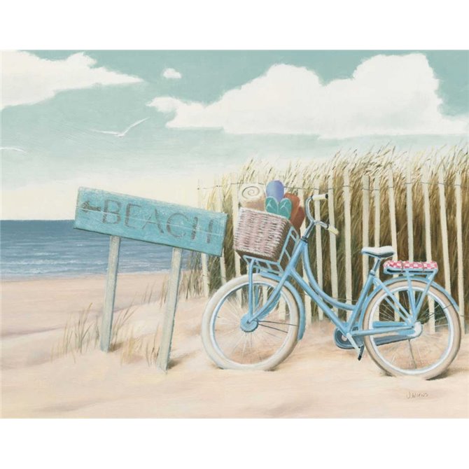 Beach Cruiser II Crop