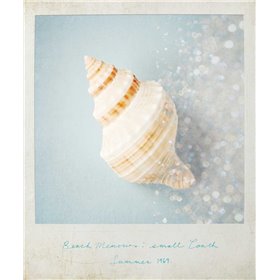 Beach Memories Small Conch - Cuadrostock