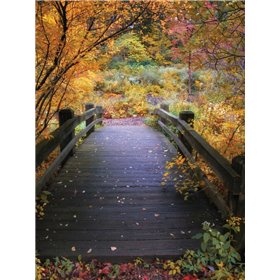 Bridge Over Shallow Water - Cuadrostock