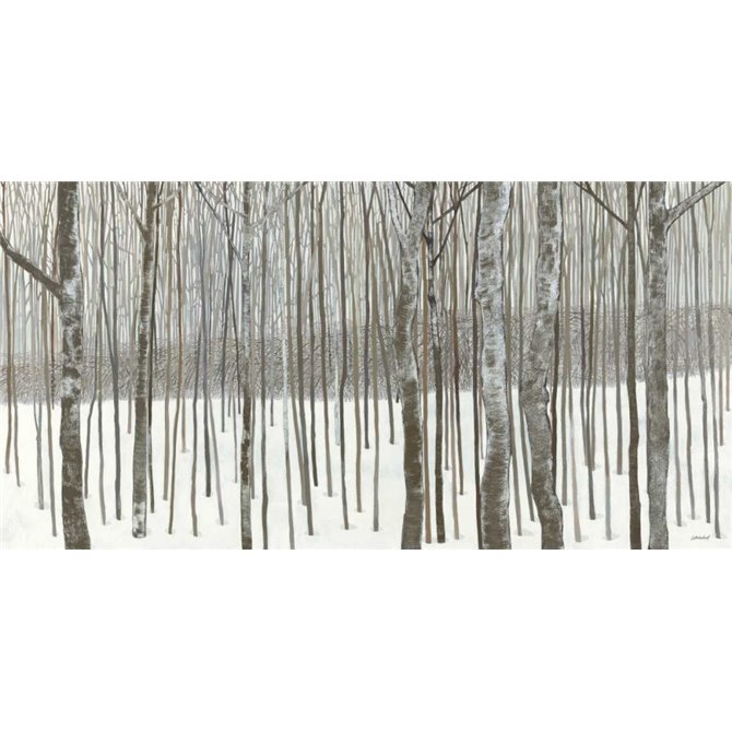 Woods in Winter 