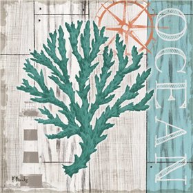 Coral Azul IV