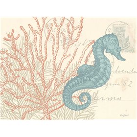 Sea Horse - Cuadrostock