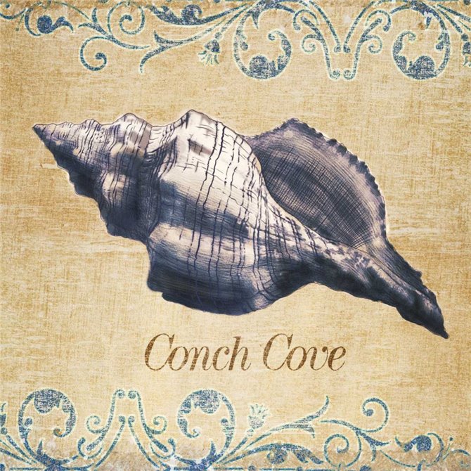 Conch Cove - Cuadrostock