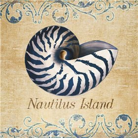Nautilus Island - Cuadrostock