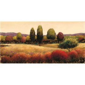 Vista