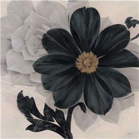 Blossom and Succulent Black