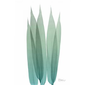 Radiant Bamboo Leaf 1 - Cuadrostock