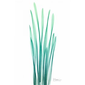 Radiant Bamboo Leaf - Cuadrostock