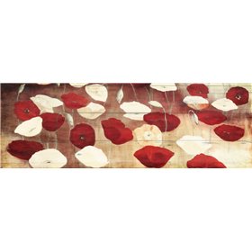 Red Poppies