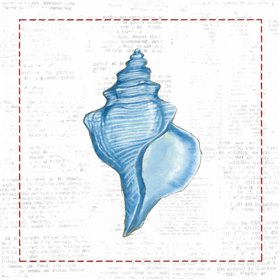 Navy Conch Shell on Newsprint with Red